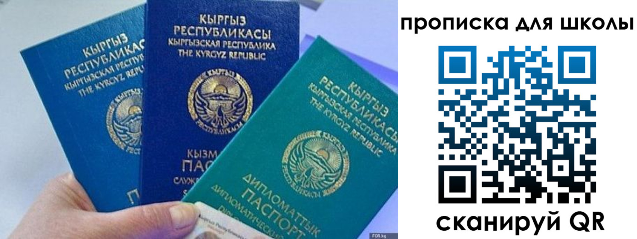 прописка регистрация в Новозыбкове